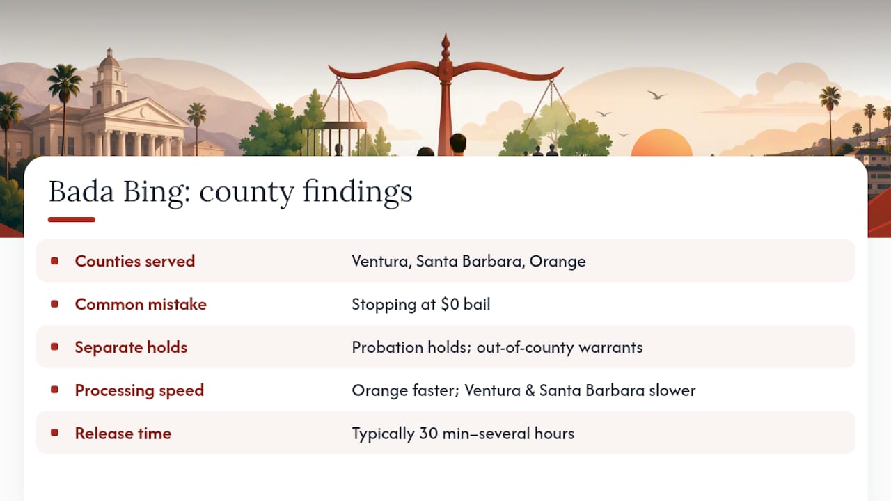 What Bada Bing Bail Bonds sees in these counties every day — overview diagram