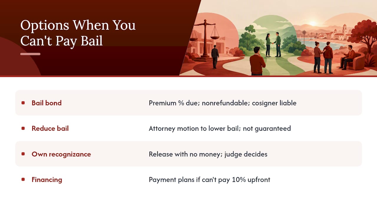 What If You Can't Afford the Full Bail Amount? — overview diagram
